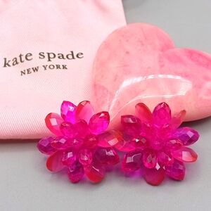 Kate Spade Pink Glass/Lucite Earrings
